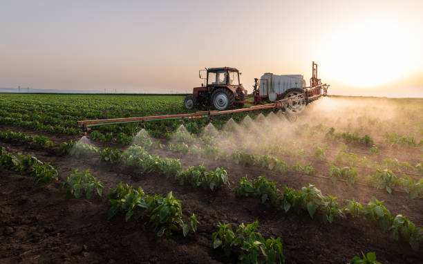 Best Mosquito Control Services  in Birch Bay, WA