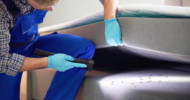 Best Residential Pest Control  in Birch Bay, WA