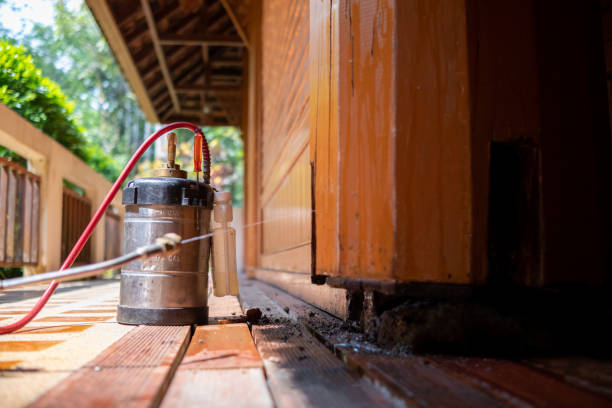 Best Local Pest Control Services  in Birch Bay, WA