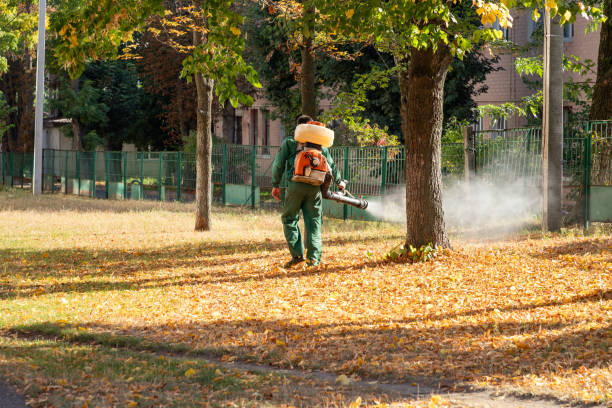 Trusted Birch Bay, WA Pest Control Experts